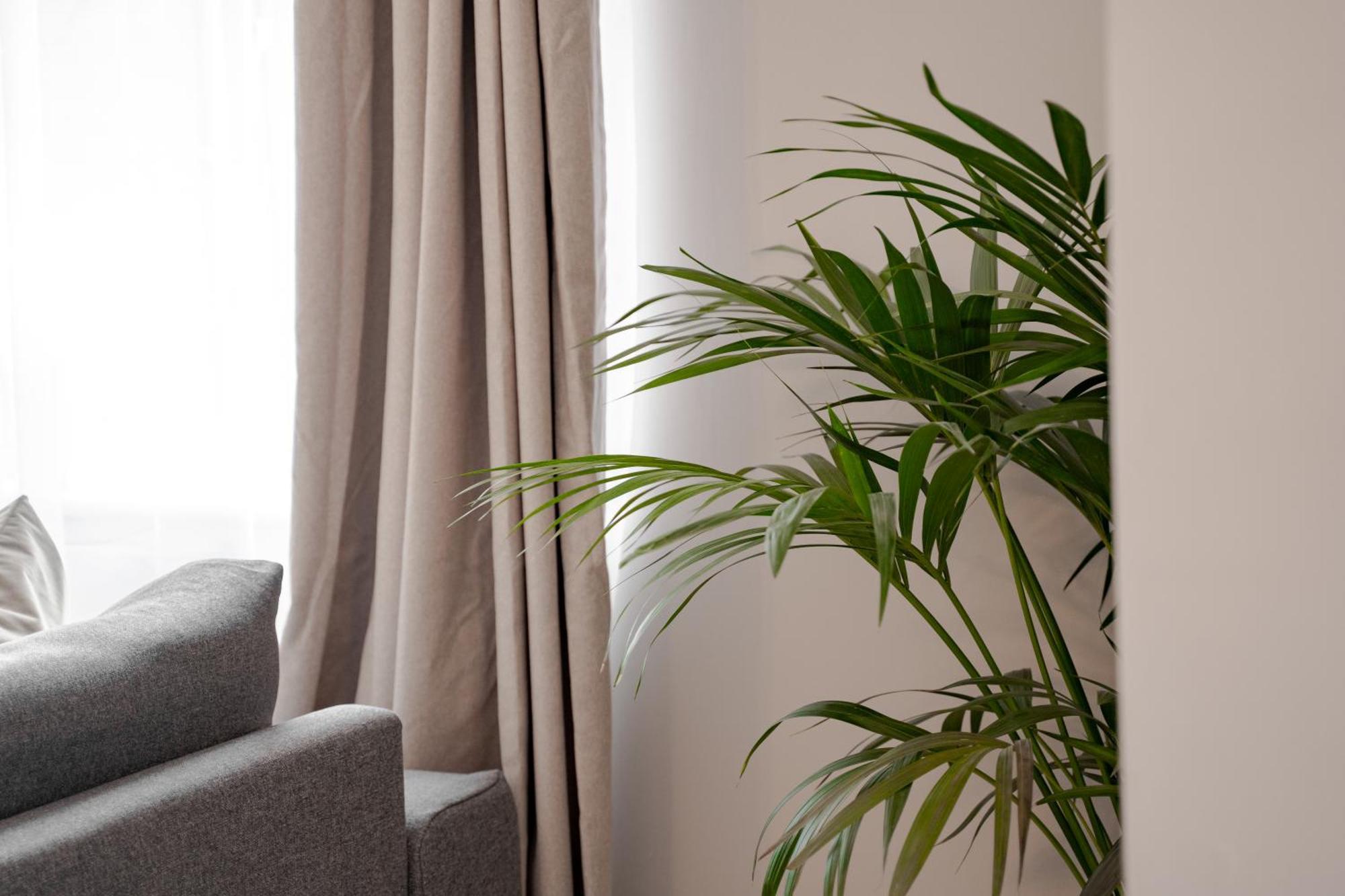 Stylish & Recently Refurbished Chester Apartment - Up To 6 외부 사진